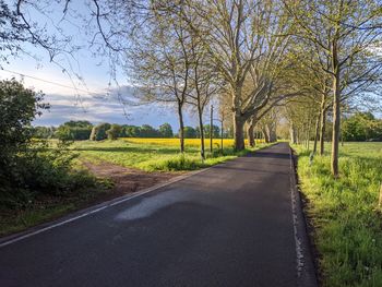 Empty road amidst trees on field against sky