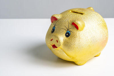 Close-up of stuffed toy against white background