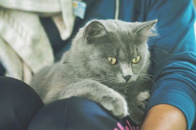 Cat relaxing on bed