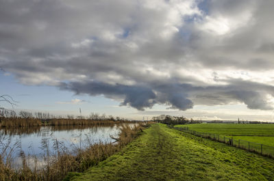 Scenic view of agricultural field against sky