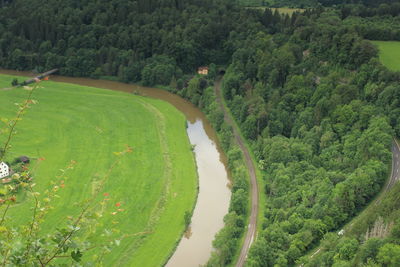 High angle view of road amidst trees on field