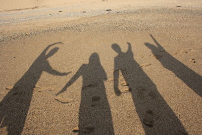 Shadow of people on sand at beach