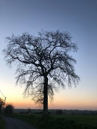 Silhouette tree on field against sky at sunset