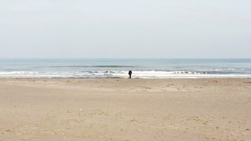 Scenic view of beach against clear sky