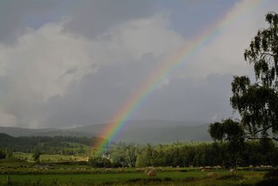Scenic view of rainbow over trees on field against sky