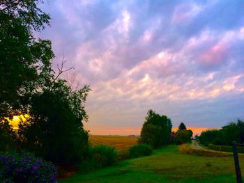 Scenic view of grassy field against sky during sunset