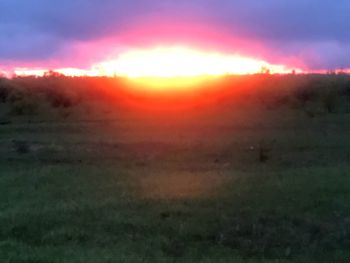 Scenic view of field against sky during sunset