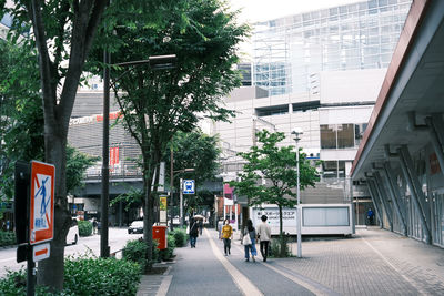 Street amidst buildings and trees in city