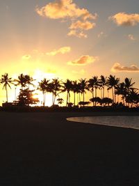 Silhouette palm trees on beach against sky during sunset