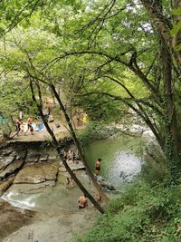 People in forest by lake