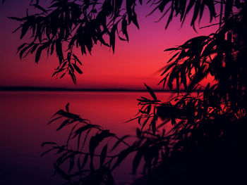 Silhouette tree by sea against romantic sky at sunset