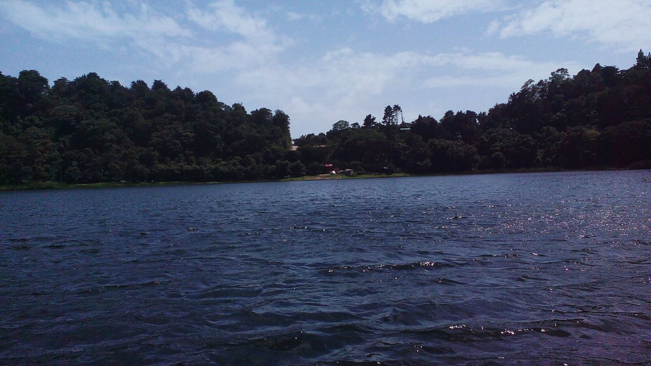 tree, water, tranquil scene, tranquility, sky, scenics, beauty in nature, lake, nature, rippled, waterfront, river, idyllic, cloud - sky, cloud, growth, outdoors, day, no people, non-urban scene