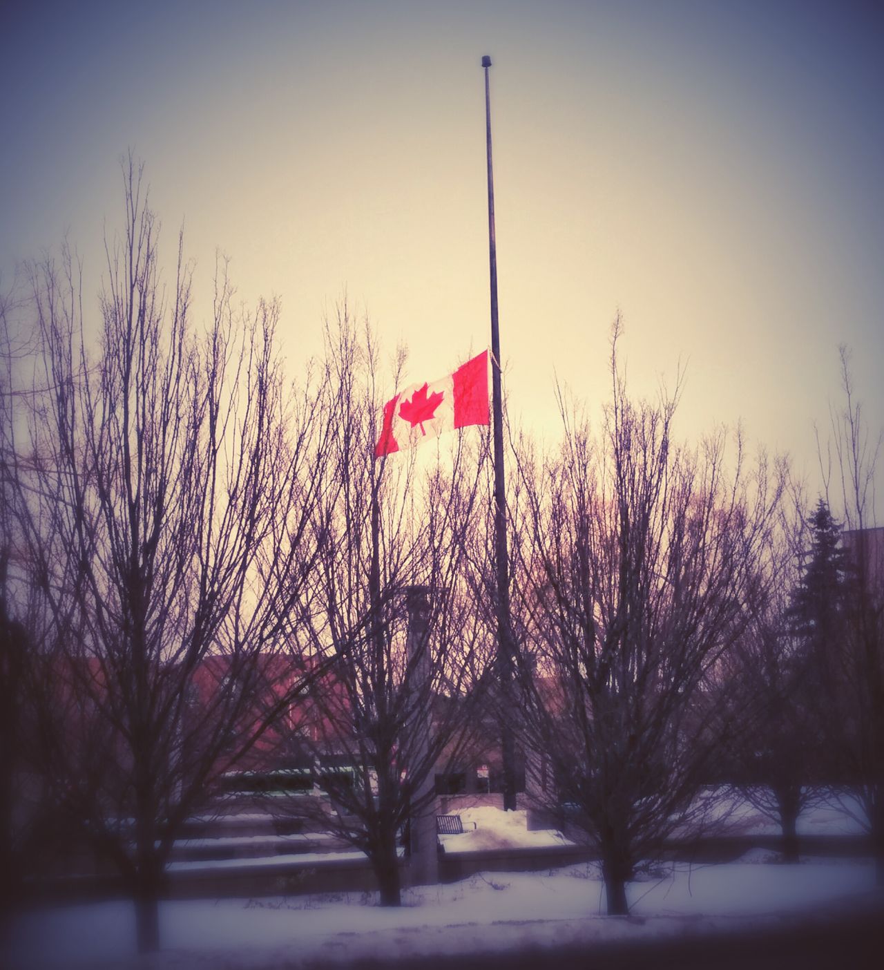 Half-mast