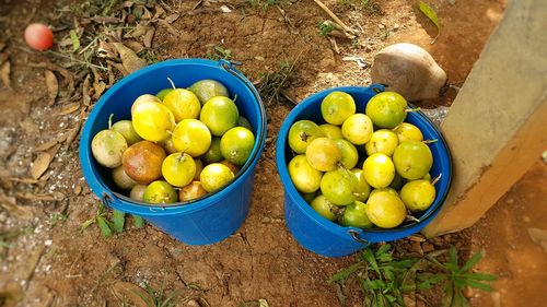 High angle view of fruits in basket on field