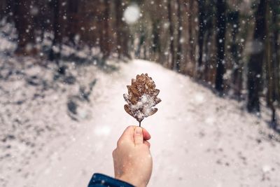 Cropped hand holding leaf in forest during snowfall