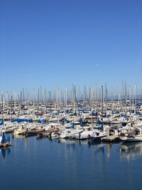 Sailboats moored in harbor