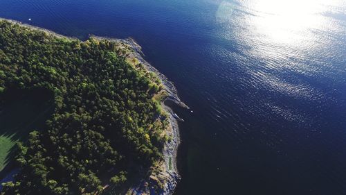 High angle view of sea and trees