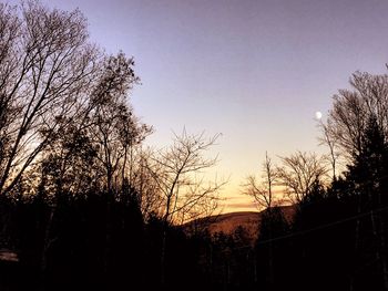 Low angle view of silhouette trees against clear sky