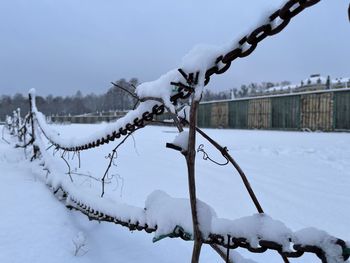 Close-up of snow on field against sky