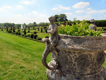 Potted plant on grassy field in garden