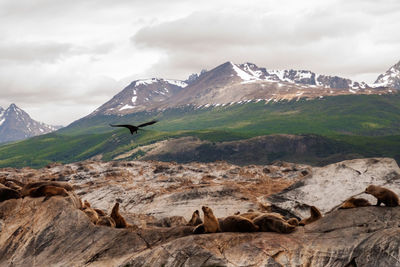 Scenic view of mountain range against sky