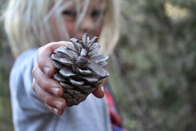 Close-up of hand holding flower