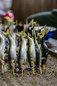 Grilled ayu fish seasoned with salt