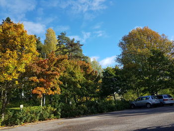 Street amidst trees against sky during autumn