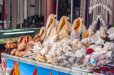 Shells on display the merchant souvenirs