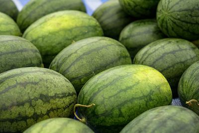 Full frame shot of fruits for sale at market stall