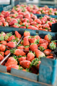 Close-up of fruits for sale in market