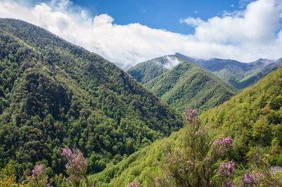 Scenic view of mountains against sky