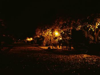 Firework display at night