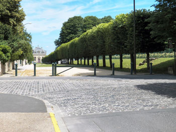 Road by trees in city against sky