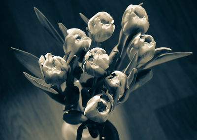 Close-up of tulips in vase on table