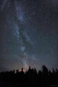 night