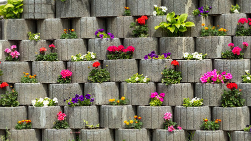 Vertical flower bed with many colorful flowers