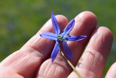 Close-up of hand holding flower