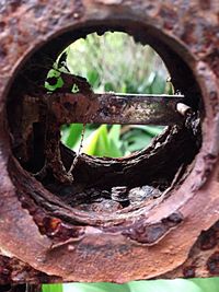 Close-up of rusty metal