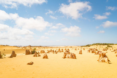 Panoramic view of desert against sky