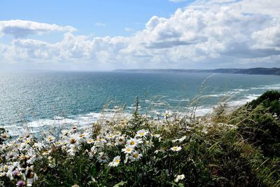 Scenic view of sea against sky