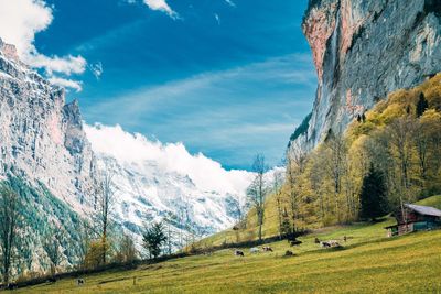 Scenic view of landscape against sky