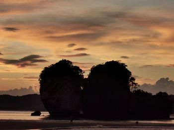 Silhouette trees by sea against sky during sunset