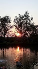 Silhouette trees by lake against sky during sunset