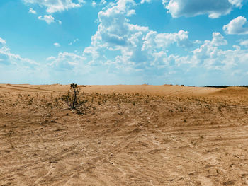 Scenic view of desert against sky