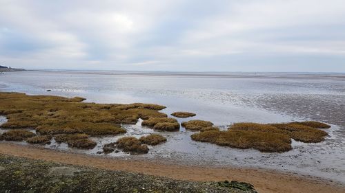 Scenic view of beach against sky