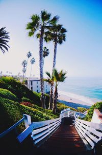 sea
