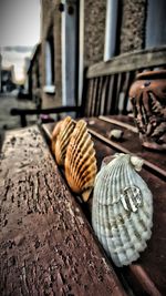 Close-up of food on table