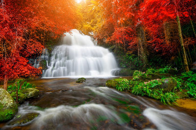 Scenic view of waterfall in forest during autumn