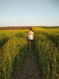 Full length of young woman standing amidst flowering plants on field